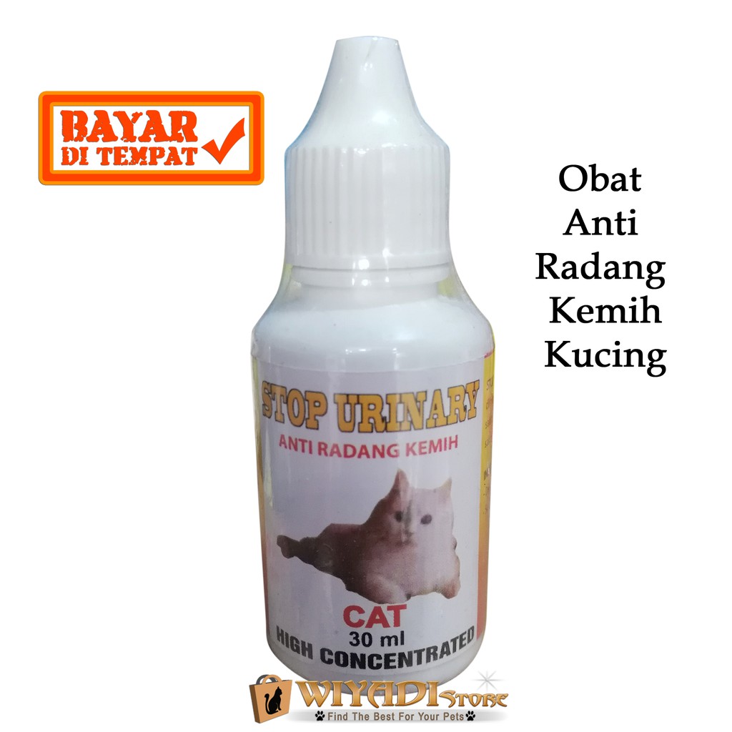 STOP URINARY - Obat Radang Kemih Infeksi Saluran Kecing Susah Buang Air Kecil Kucing