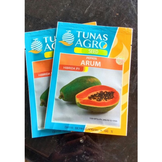 BENIH PEPAYA ARUM HIBRIDA F1 TUNAS AGRO