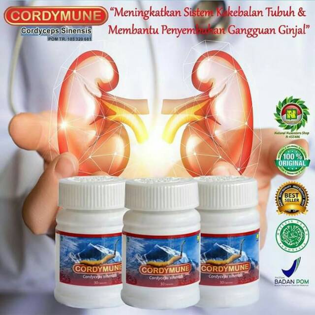 solusi gangguan ginjal Cordymune