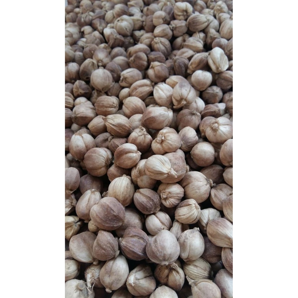 

Kapulaga / Kapol / Cardamon Jawa PREMIUM SUPER ASLI 50 Gr