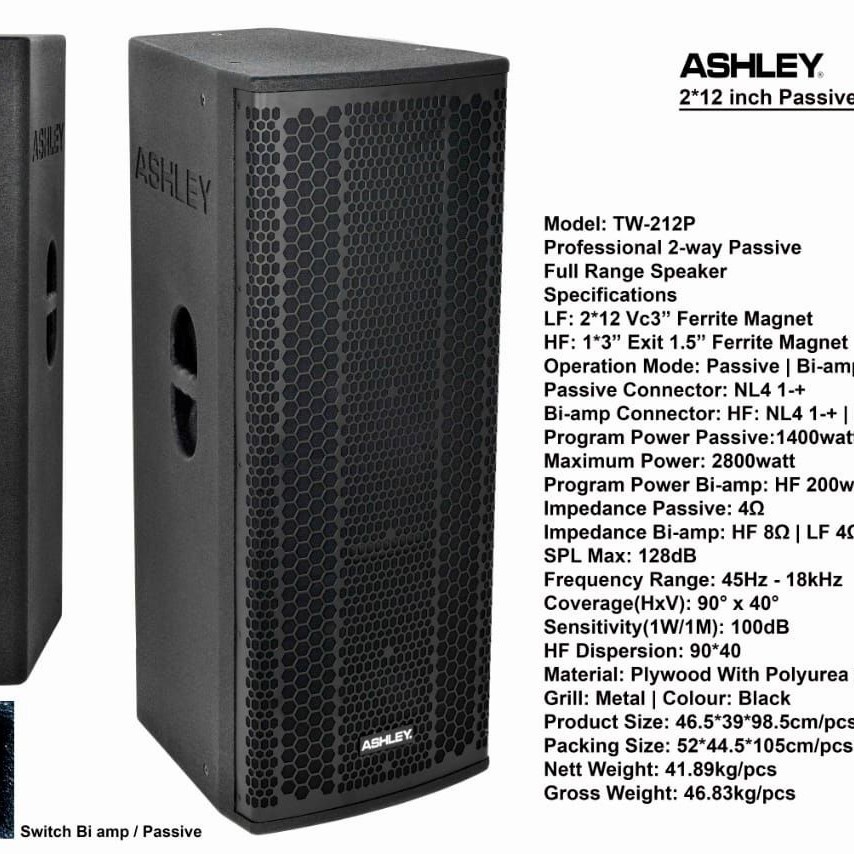 SPEAKER PASIF 2X12 INCI ASHLEY TW 212P 12IN DOUBLE WOOFER