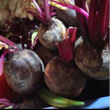 

Buah Bit / Beet Root