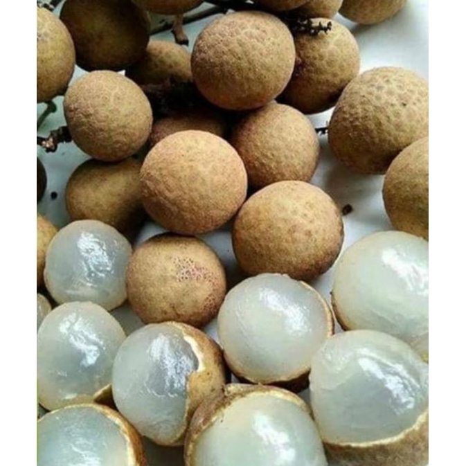 

Klengkeng daging tebal 1kg