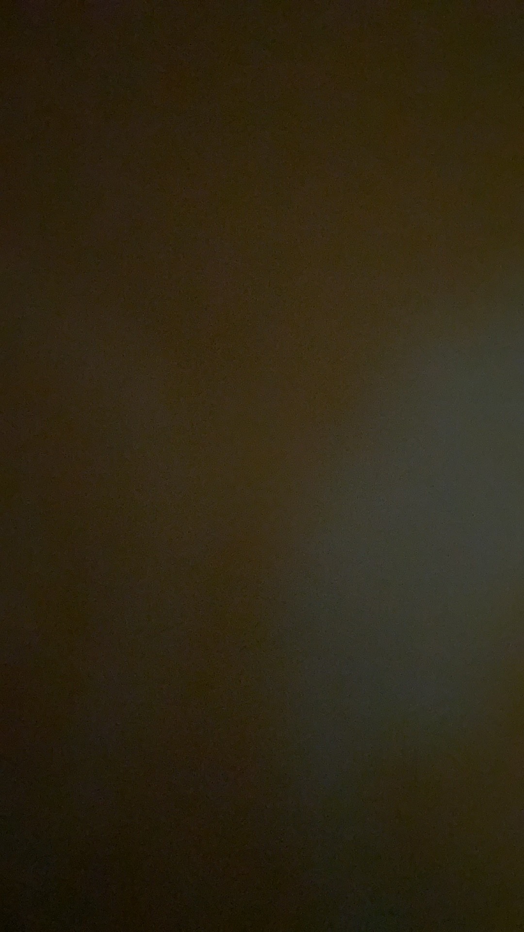 Daun Palm Kering Ukuran 30cm | Dried Palm Leaves | Dried Flowers