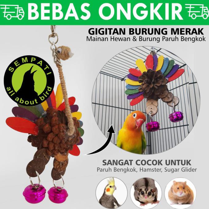 Paling Dicari] Mainan Burung Parrot Paruh Bengkok Cokotan Lovebird Gigitan Merak Mrkj