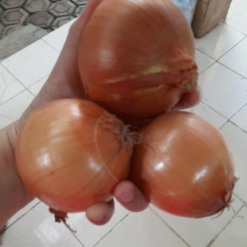 

Bawang Bombay