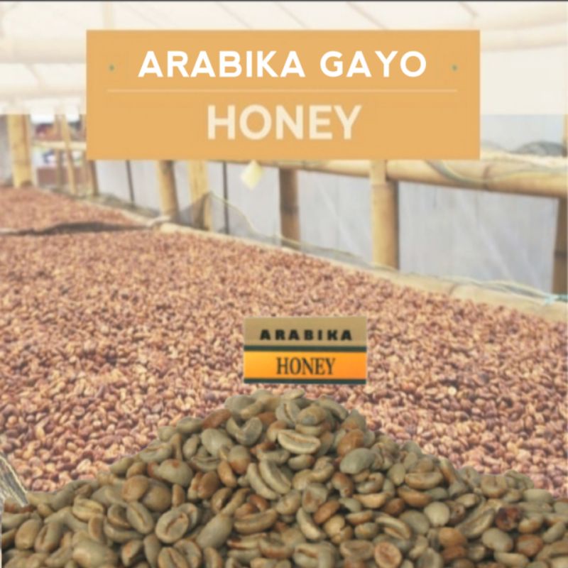 

TERLARIS GREENBEAN BIJI KOPI ACEH ARABIKA GAYO HONEY.ARABIKA GAYO ASLI arabika gayo aceh honey process 1kg ORIGINAL.