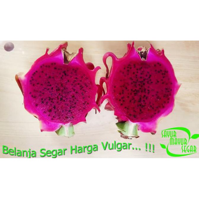 

Buah Naga Merah Premium Fresh (Grosir / Eceran )