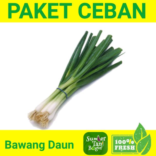 

BAWANG DAUN PER PACK PAKET CEBAN