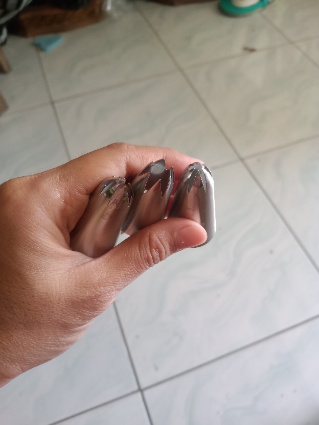 3pcs Spuit Piping Dengan Motif Bunga Untuk Hiasan Kue/cupcake