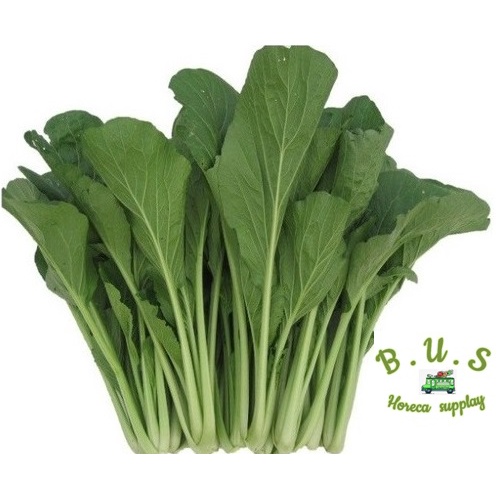 

Caisim/Sawi Hijau 1kg B.U.S