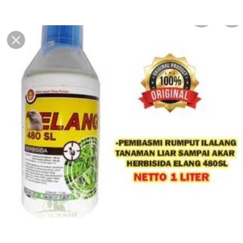 Herbisida ELANG 480sl 1liter basmi rumput sampai  akar