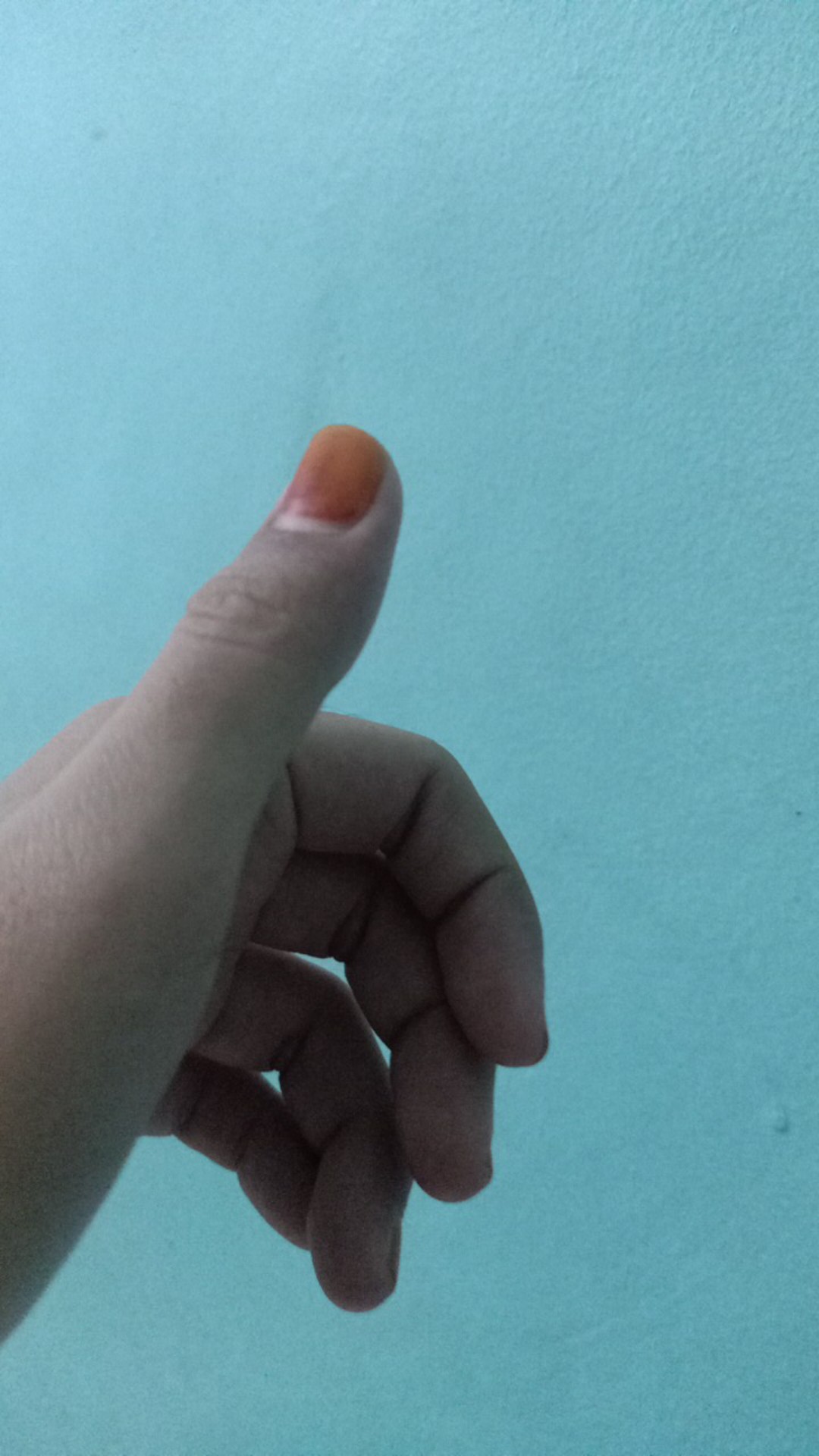 Spatula Set 5 In 1 - Peralatan Tumis Masak Centong - Kitchen Tool Alat Masak Dapur Rak Bumbu Murah