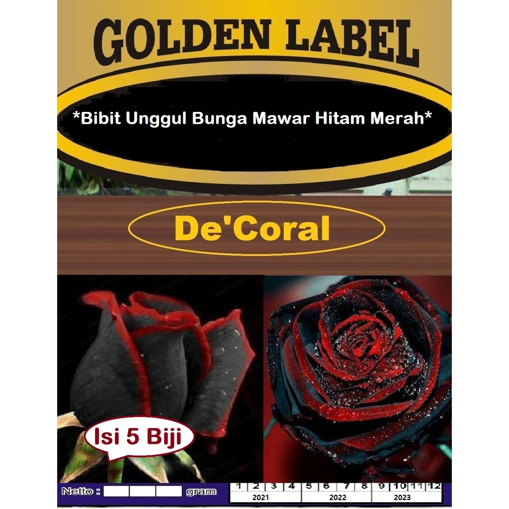 Bibit Unggul Bunga Mawar Hitam Merah | Benih Bunga Mawar Hitam Merah
