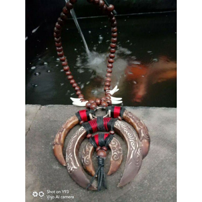 Kalung Taring Babi Etnik Dayak Kalimantan