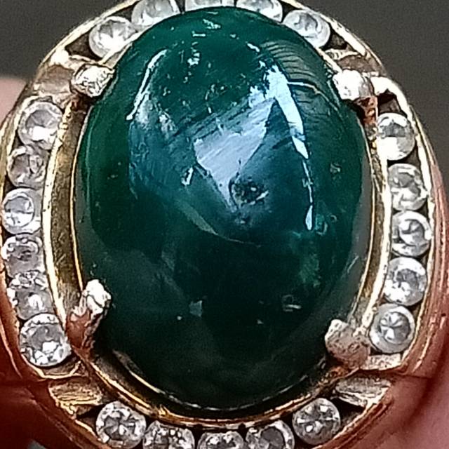 Bacan Doko gulau kura tali putih