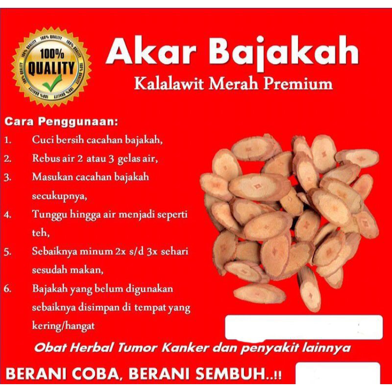 

Akar Bajakah