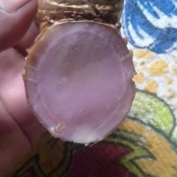 Bangle wulung / bangle hitam 1kg  - 2kg