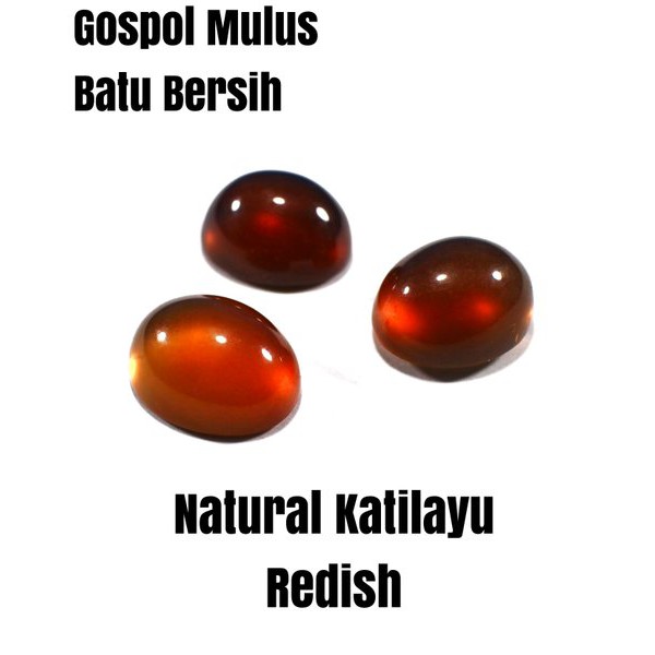 BATU AKIK NATURAL FOSIL GETAH KATILAYU MERAH SIZE KANTORAN