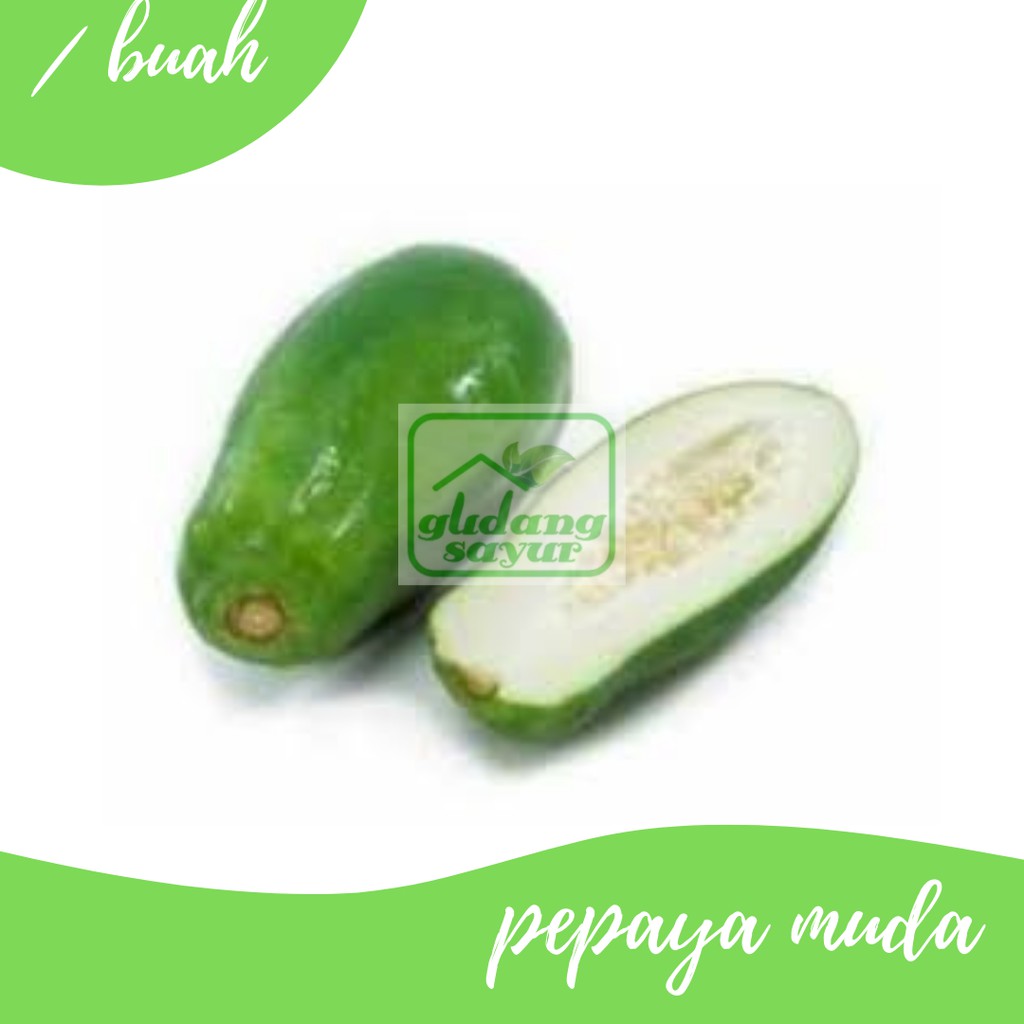 

Pepaya Muda