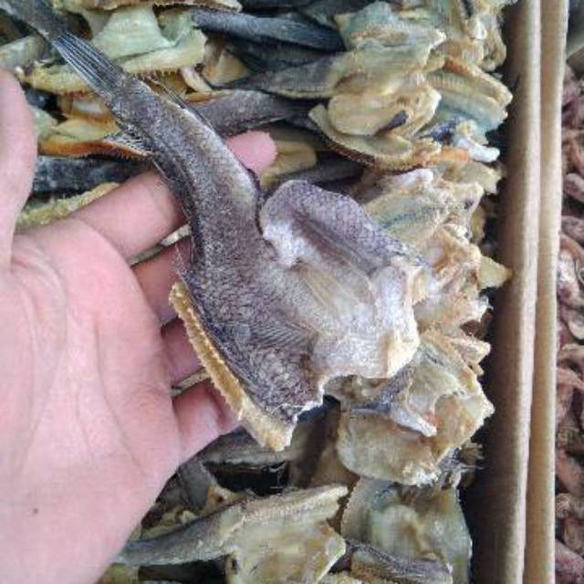 

Ikan Asin Gabus (250gram)