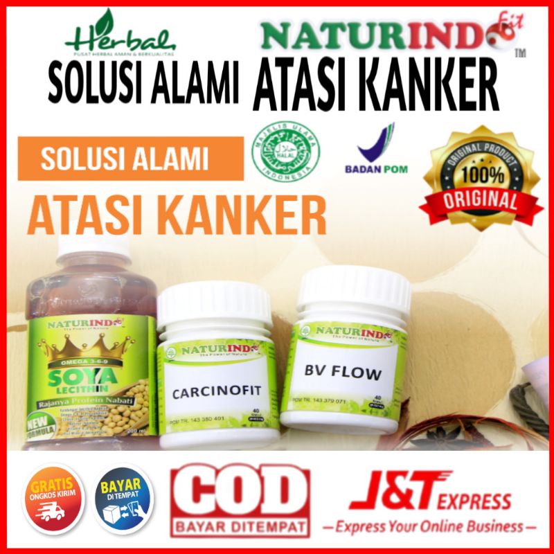 Obat herbal atasi kanker ganas, obat herbal alami atasi masalah kanker, paket herbal atasi kanker jinak