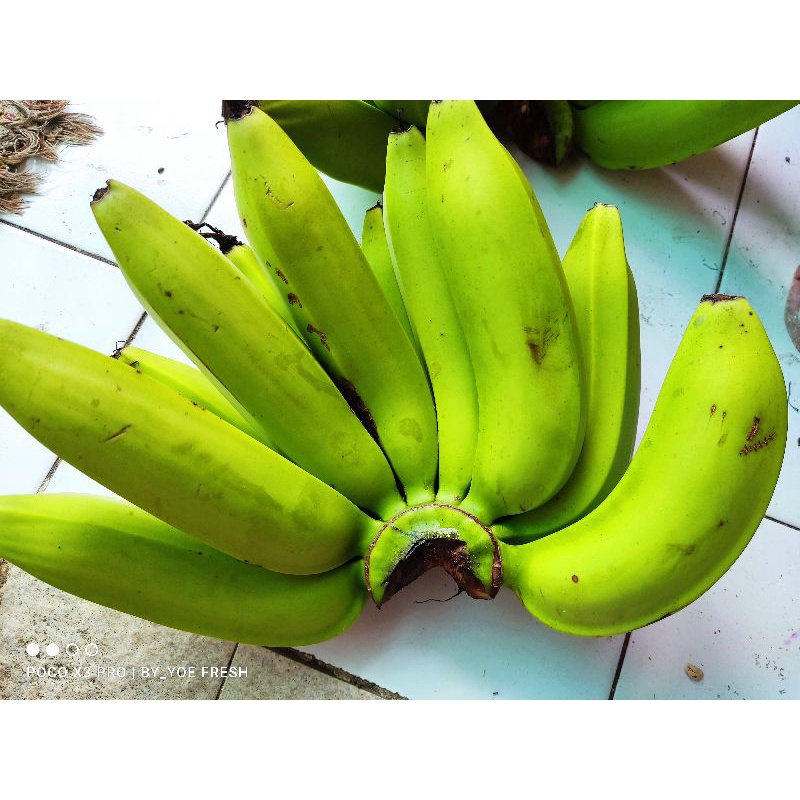 

Pisang Ambon
