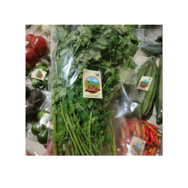 

Daun Wansui Organik || 50 gr || Coriander Cilantro