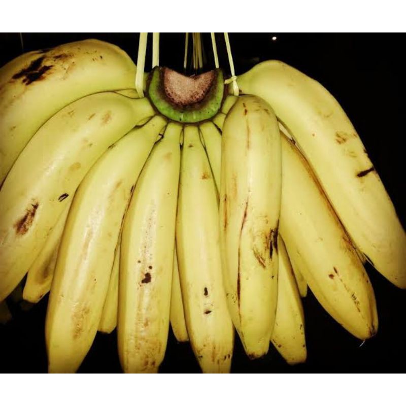 buah pisang ambon 1 sisir