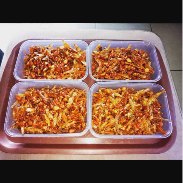 

Teri kacang endolita
