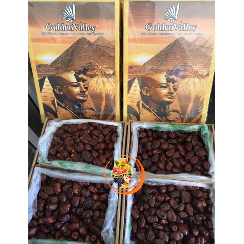 

kurma GV