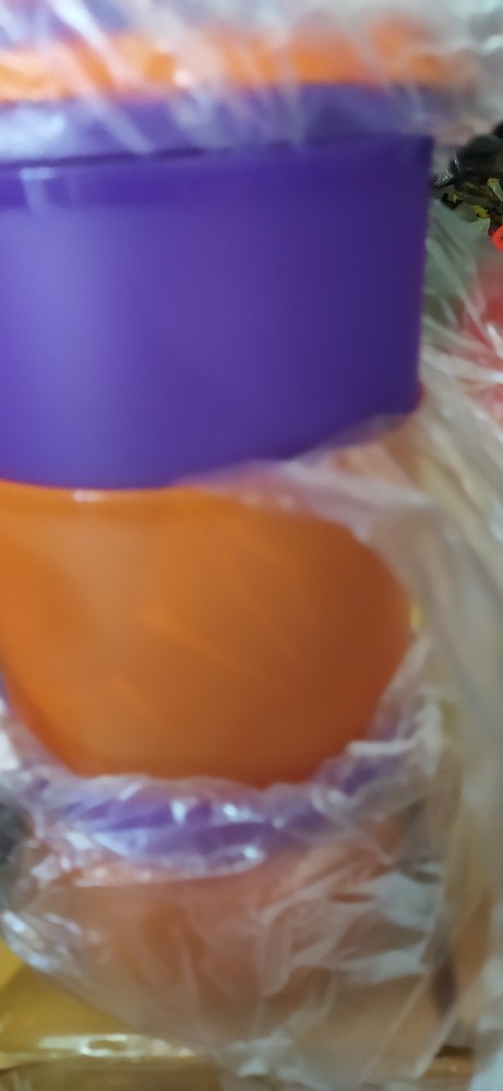 Tropical Round Paket Kotak Bulat 6p Summer Go Round