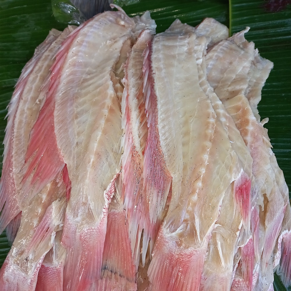 

Tulang Ikan Kakap