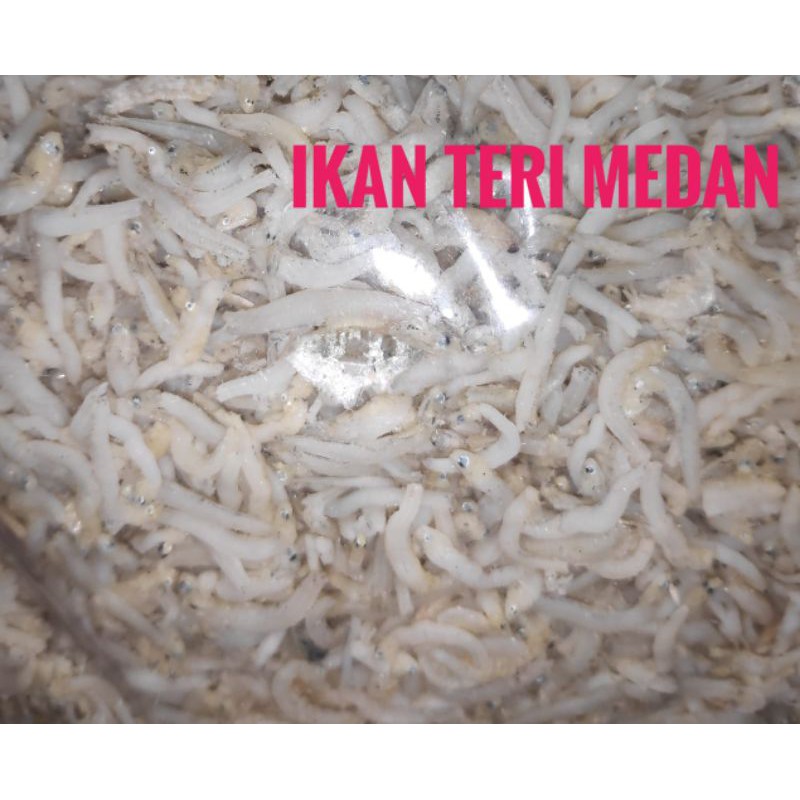 

Teri medan 500 gr