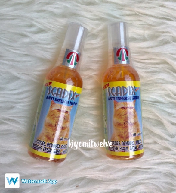 Syafatummy Scadix Obat Scabies Kucing Obat Jamur Kucing Scadix Spray