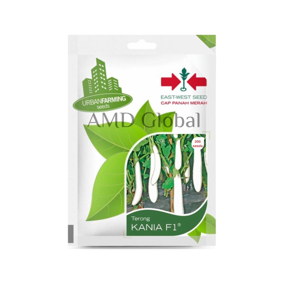 Benih Terung / Terong Putih Kania F1 Cap Panah Merah Isi 200 Biji