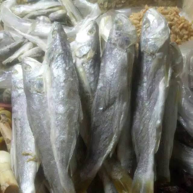 

Ikan asin samge UK sedang 500gram