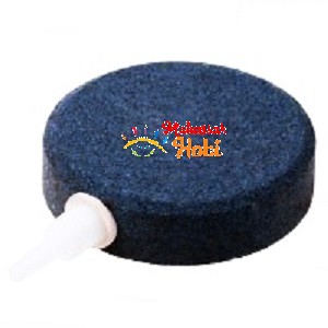 Batu Aerator Kolam Aquarium Aerasi Gelembung Udara Airstone Piring 6cm