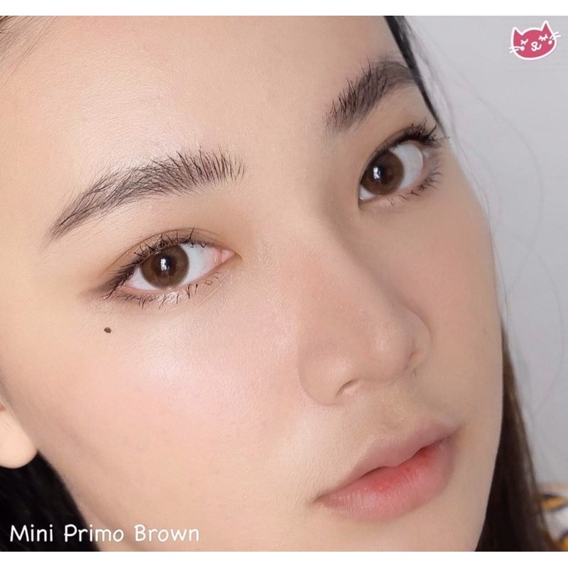 softlens mini primo gray grey brown kitty kawaii original korea