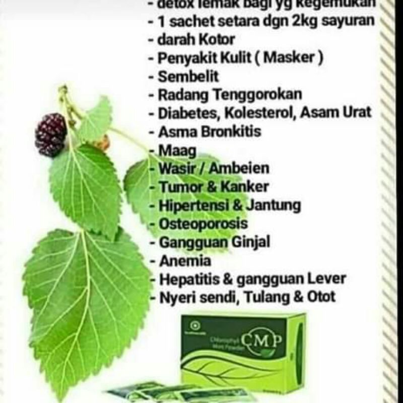 Classic Mulberry Powder (CMP)