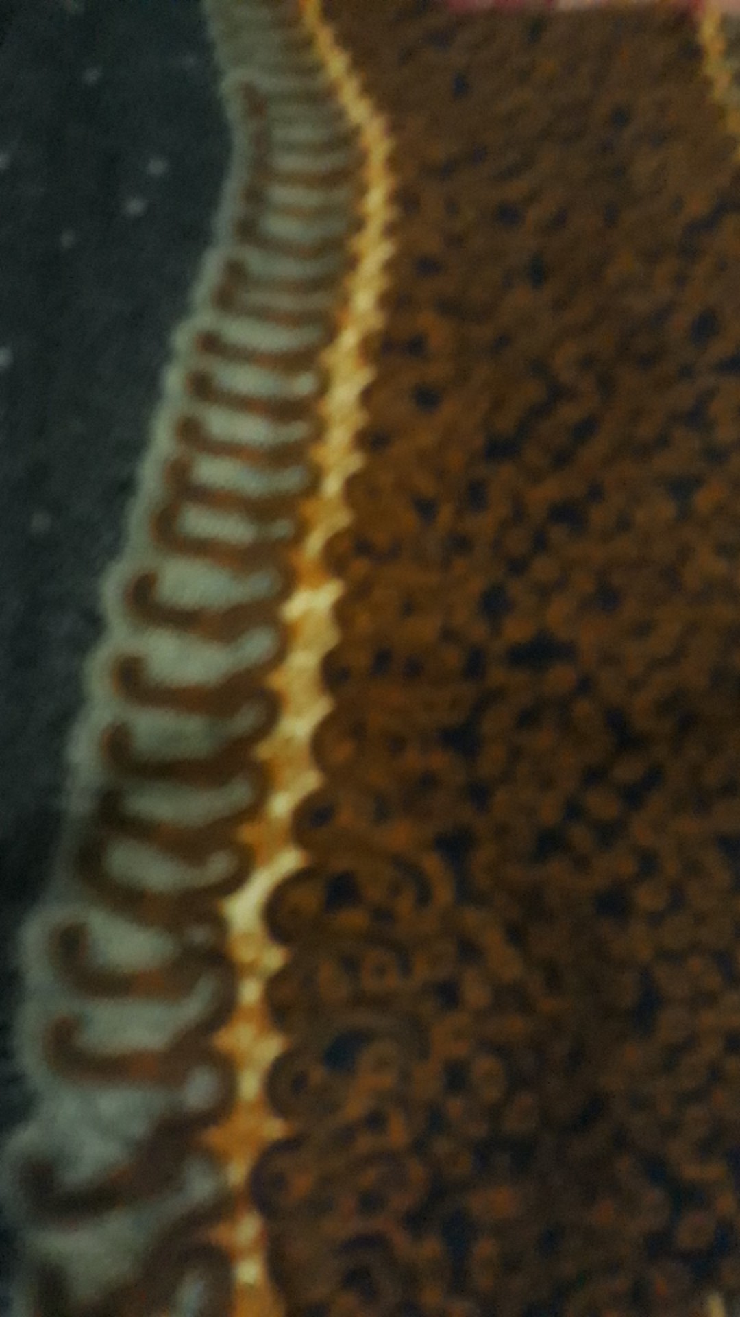 Gamis Batik Manggar, Padi,sekar,cantik,kubis,kipas,daun,kupu,nadine,gendis