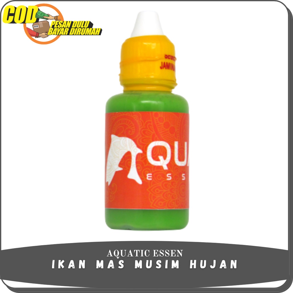 Essen Ikan Mas Malam Hari Paling Ampuh - Essen Khusus Ikan Mas - AQUATIC ESSEN MUSIM HUJAN - ESSEN M