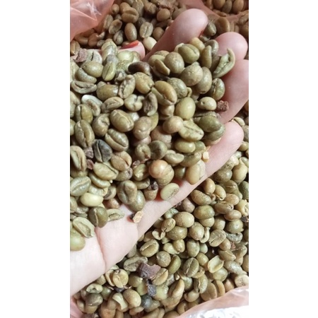 

ROBUSTA MENTAH
