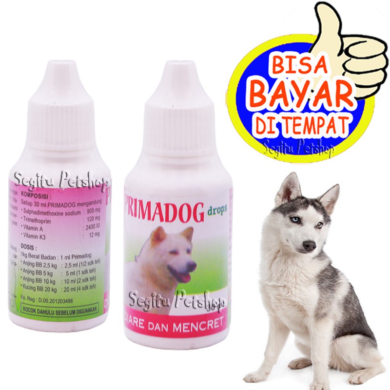 OBAT DIARE ANJING SAKIT PERUT PENCERNAAN MENCRET PRIMADOG