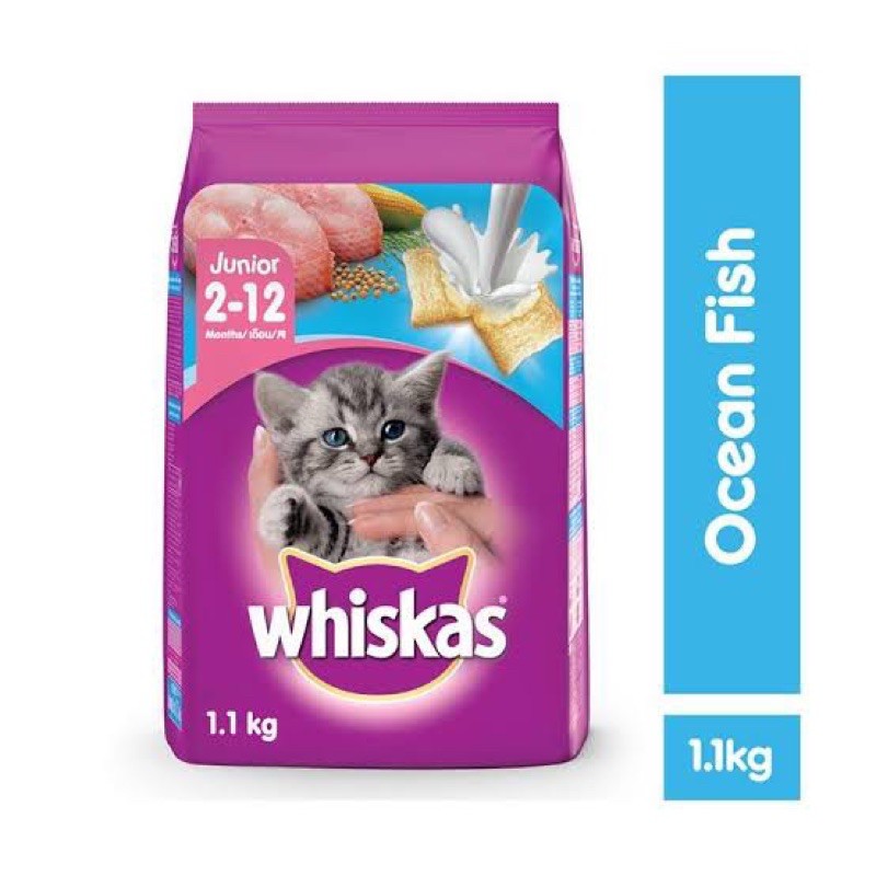 whiskas 1.1kg Junior dry food / whiskas kucing kitten 1.1 kg junior - whiskas 1 kg kitten junior