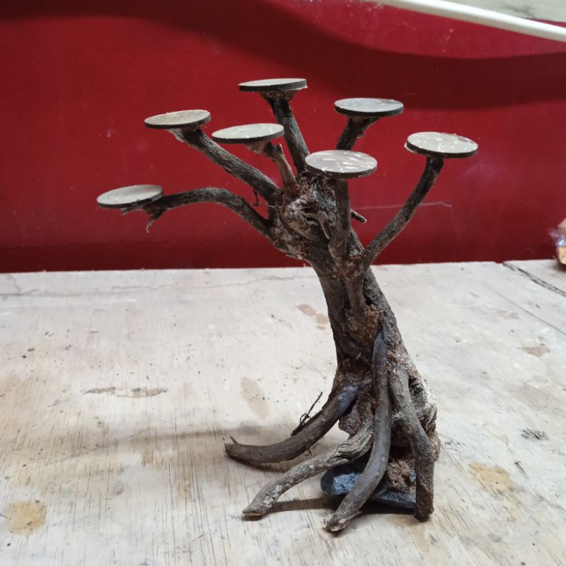 bonsai mini tinggi 15cm untuk aquascape akuarium