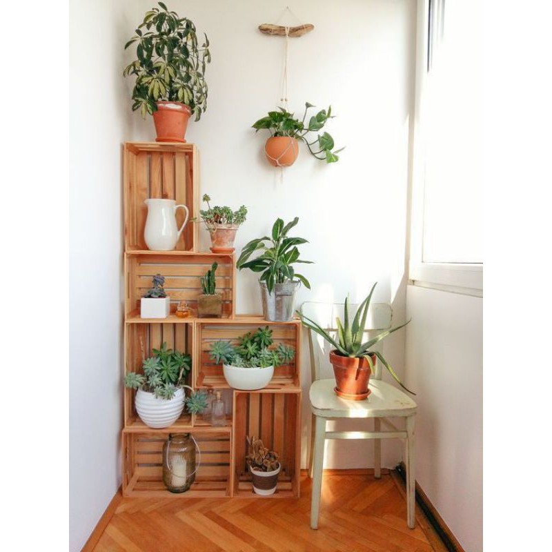 Peti box kayu jati belanda