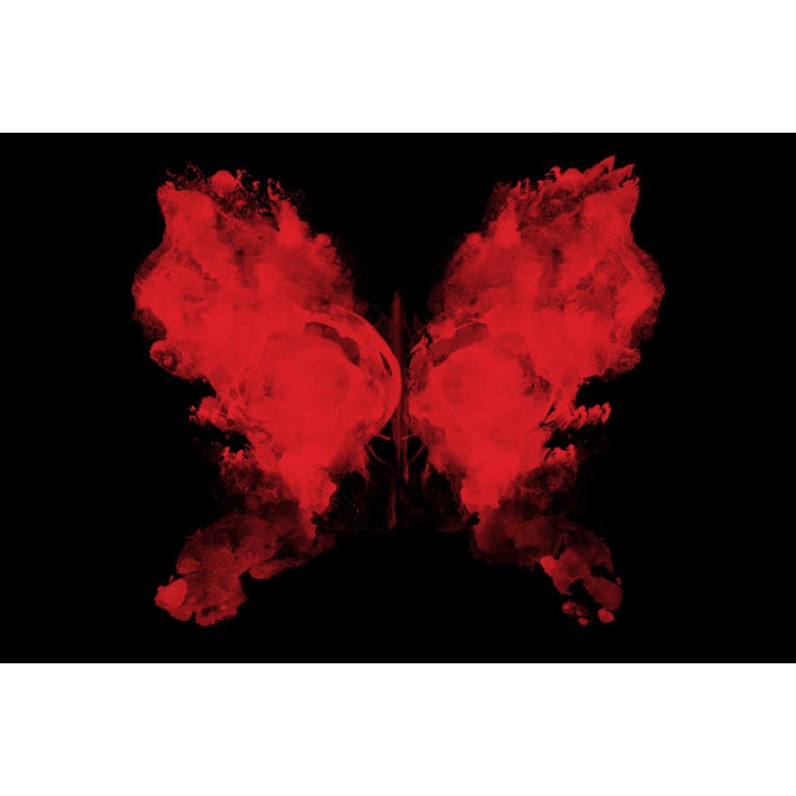 75 Rorschach Butterflies - Photoshop Brushes