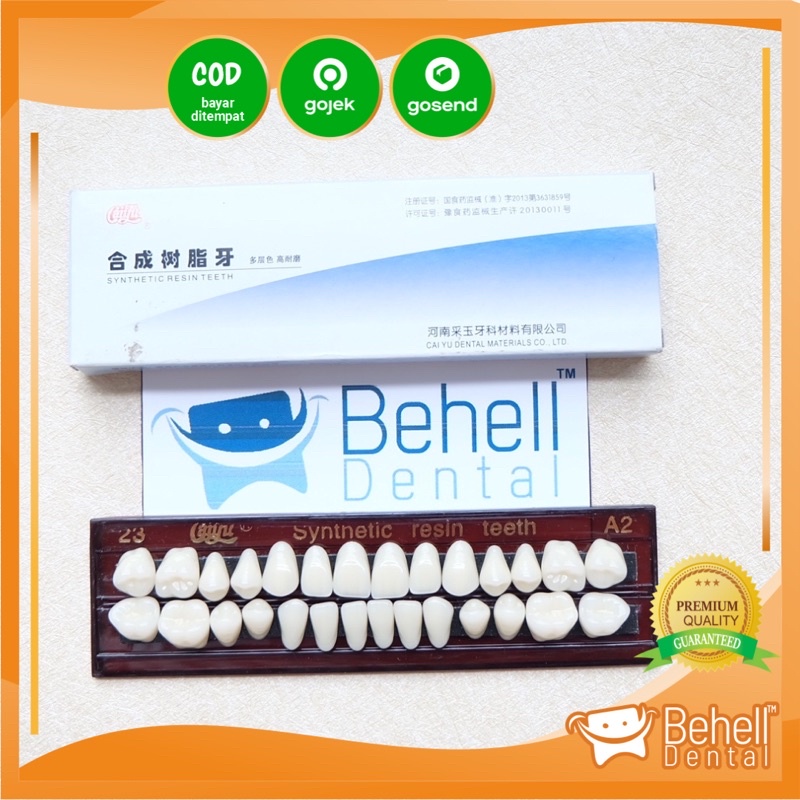 FREE BUBBLE - GIGI PALSU SYNTHETIC RESIN TEETH - Gigi Tiruan Sintetis  Posterior Anterior - Gigi Depan Geraham 1 Set Atas Bawah - Caiyu Dental Acrylic Akrilik