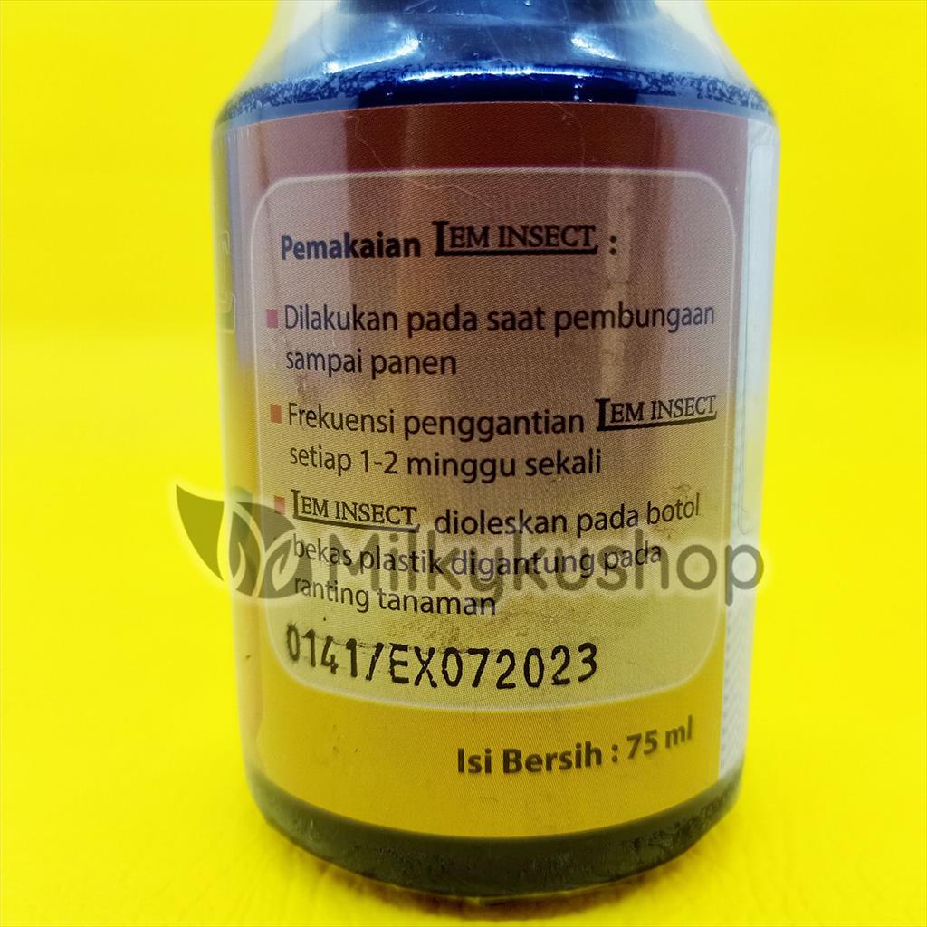 LEM INSECT 75 ML PERANGKAP SERANGGA LALAT BUAH